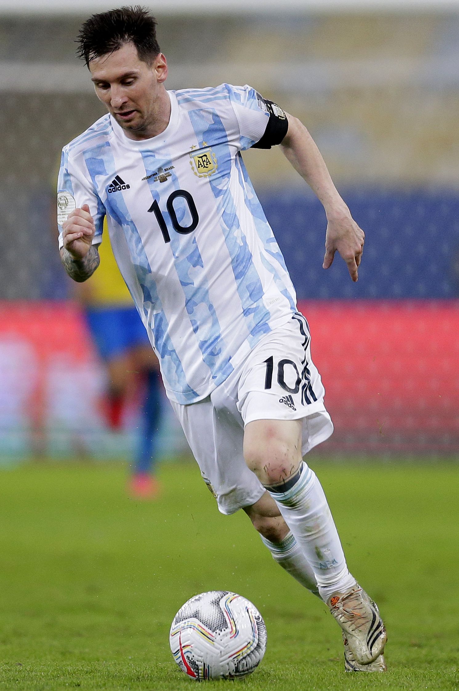 他们不仅看 他们不仅看