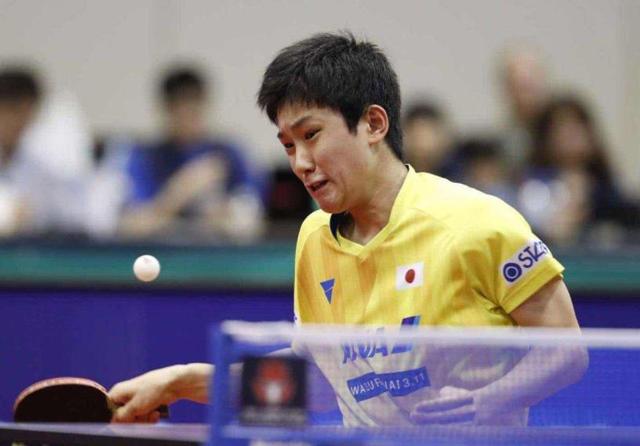 觉和果敢的 觉和果敢的