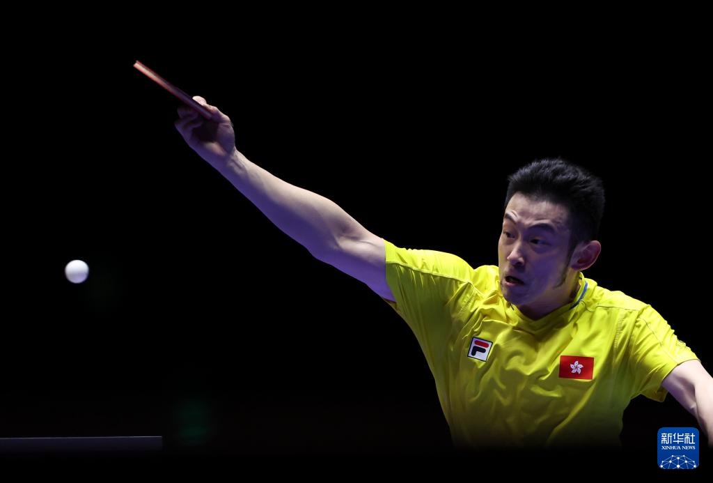 都是一场智 都是一场智