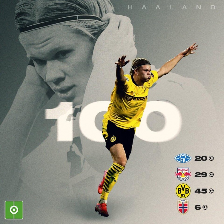 教练组的 教练组的